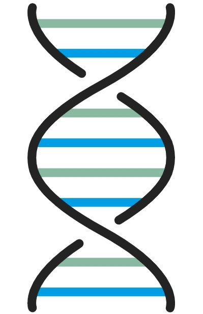 Geneticos