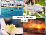 A SUMMER DREAM