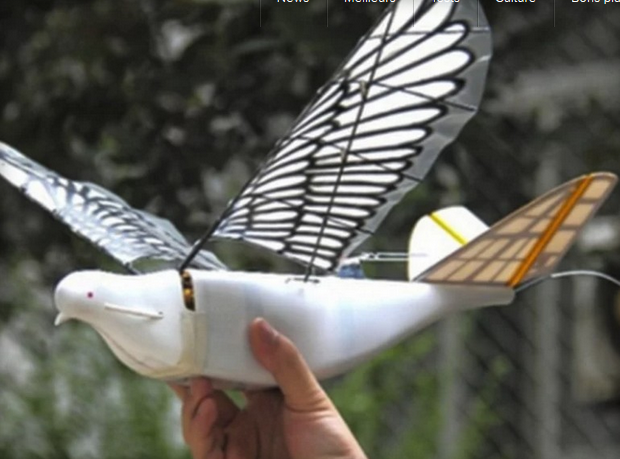 Drone oiseau pour surveiller la population