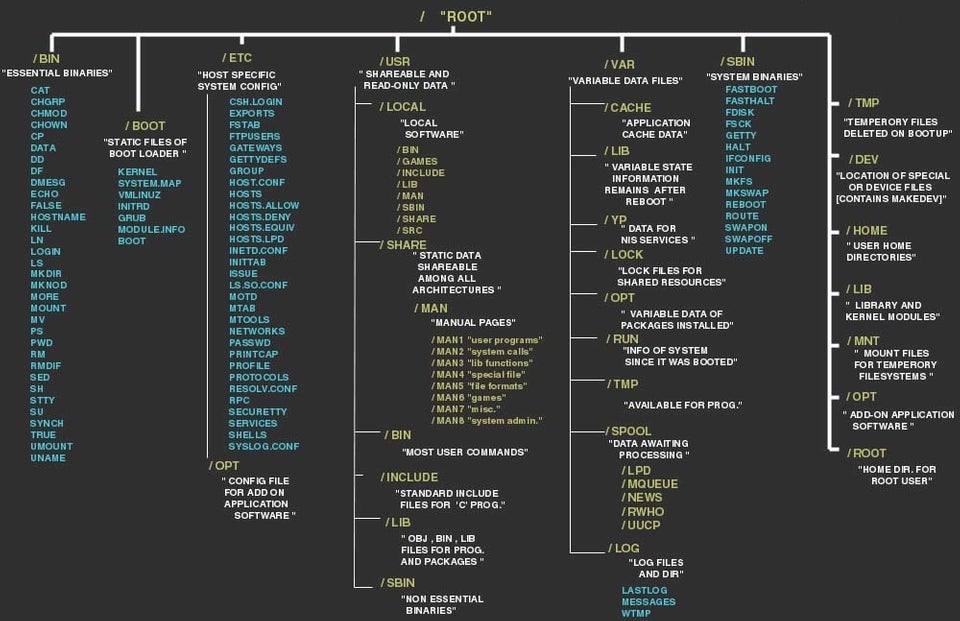 File System Structure