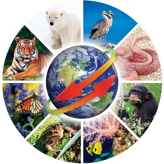 La Biodiversidad 
Mexicana