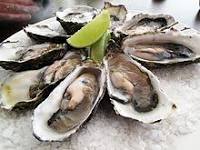 Pacific oyster