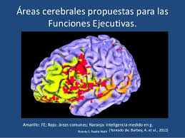 Neuro imagen