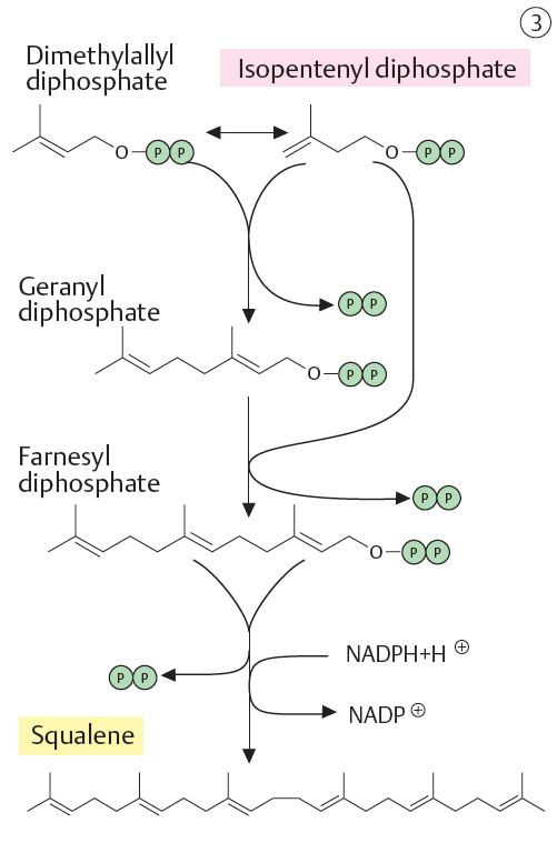 ETAPA 3