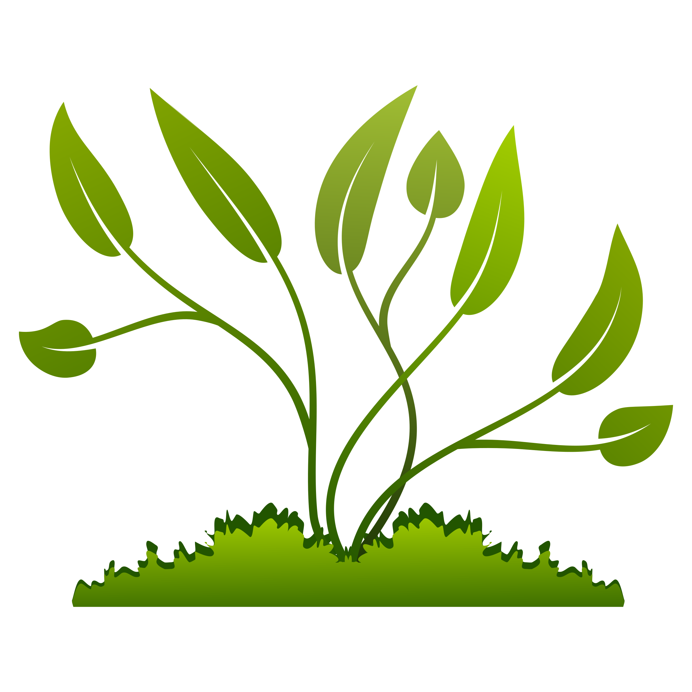 Plants