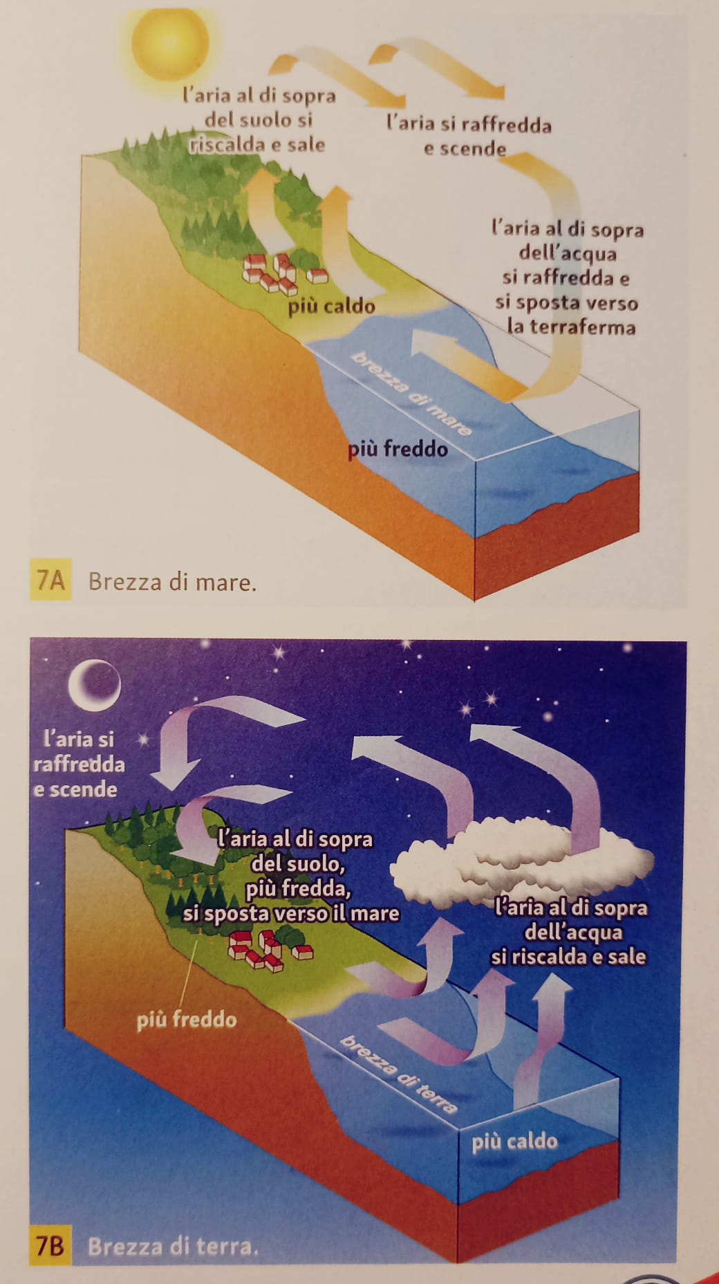 Brezza di mare e brezza di terra