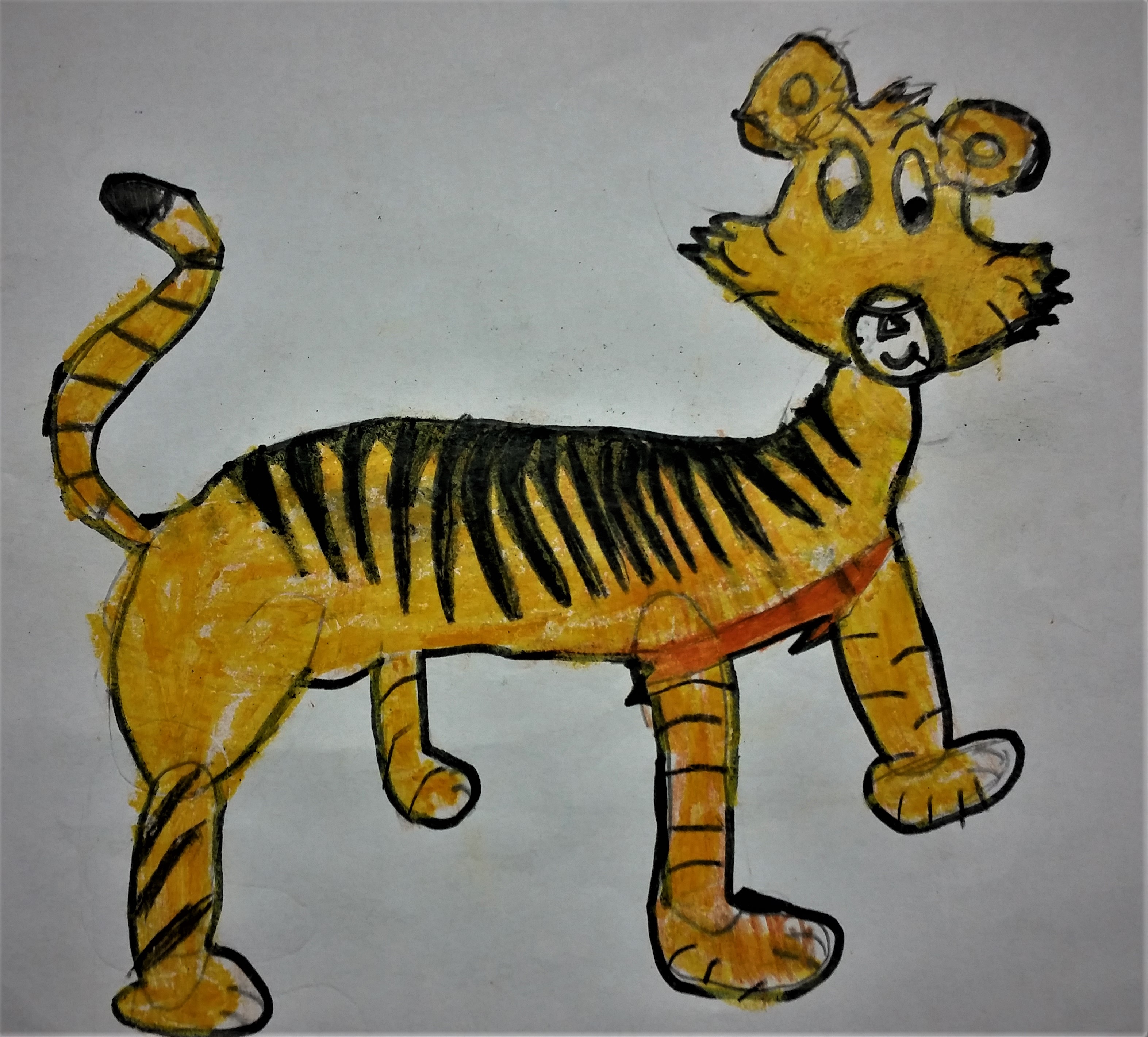 TIGRE