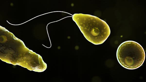 Naegleria fowleri