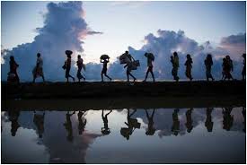 La migración como modelo