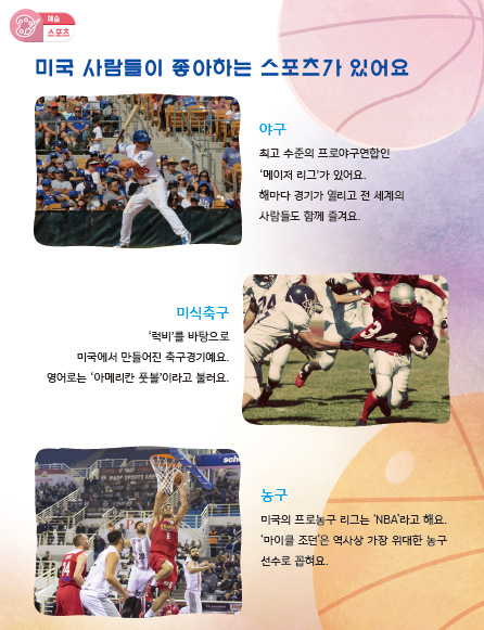미국의 스포츠