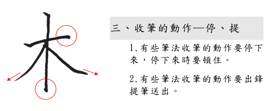 分支主題