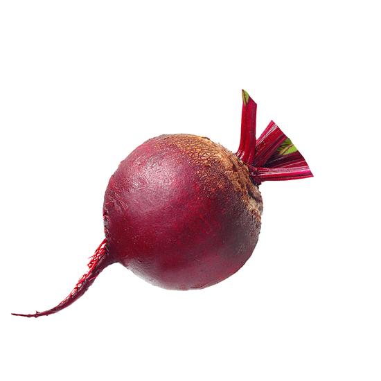 甜菜跟
