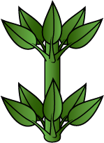 verticillées