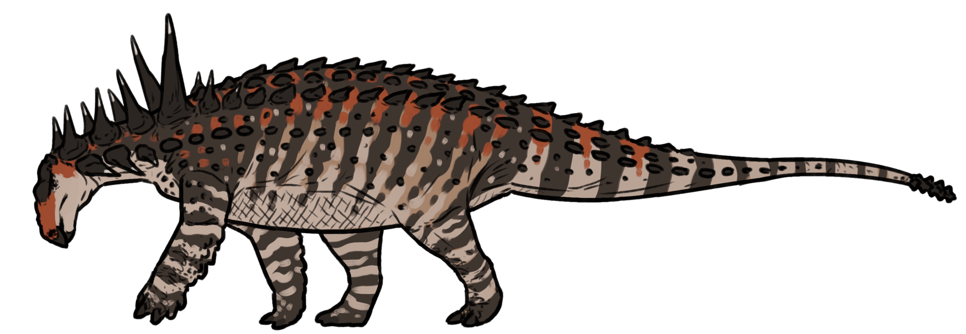 Animantarx ramaljonesi