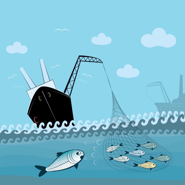 Impact of climate change on the industry