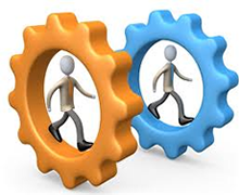 Principio #6                                               La excelencia requiere múltiples áreas de experticia