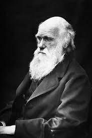 Charles Darwin 
Charles Darwin var en britisk naturvitenskapmann og anses som grunnleggeren av moderene evulosjonsteorien. Ch