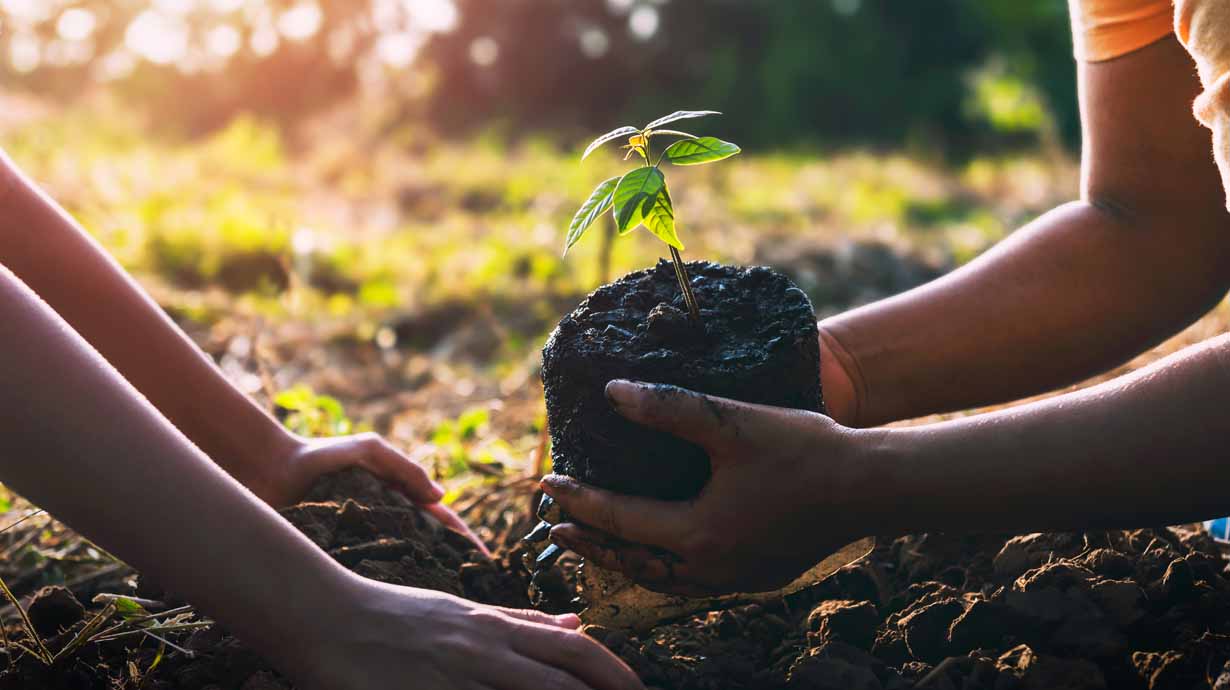 Environment Initiatives