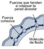 Cierre de alveolos