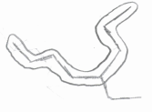 Longest carbon chain