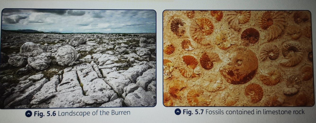 Chemical weathering ;