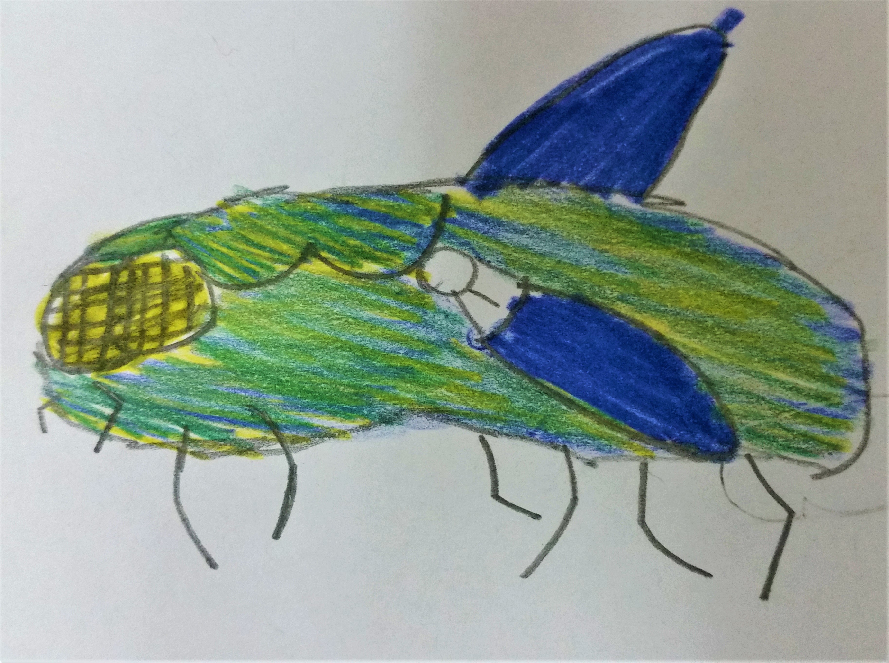 MOSCA