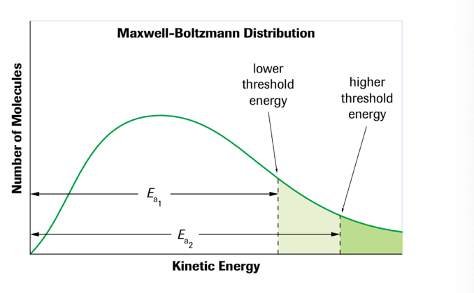 Maxwell Boltzmann distribution