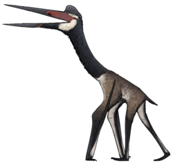 Cryodrakon boreas