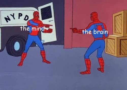 Social Media Meme Demonstrating the Real World Implications of the Theory