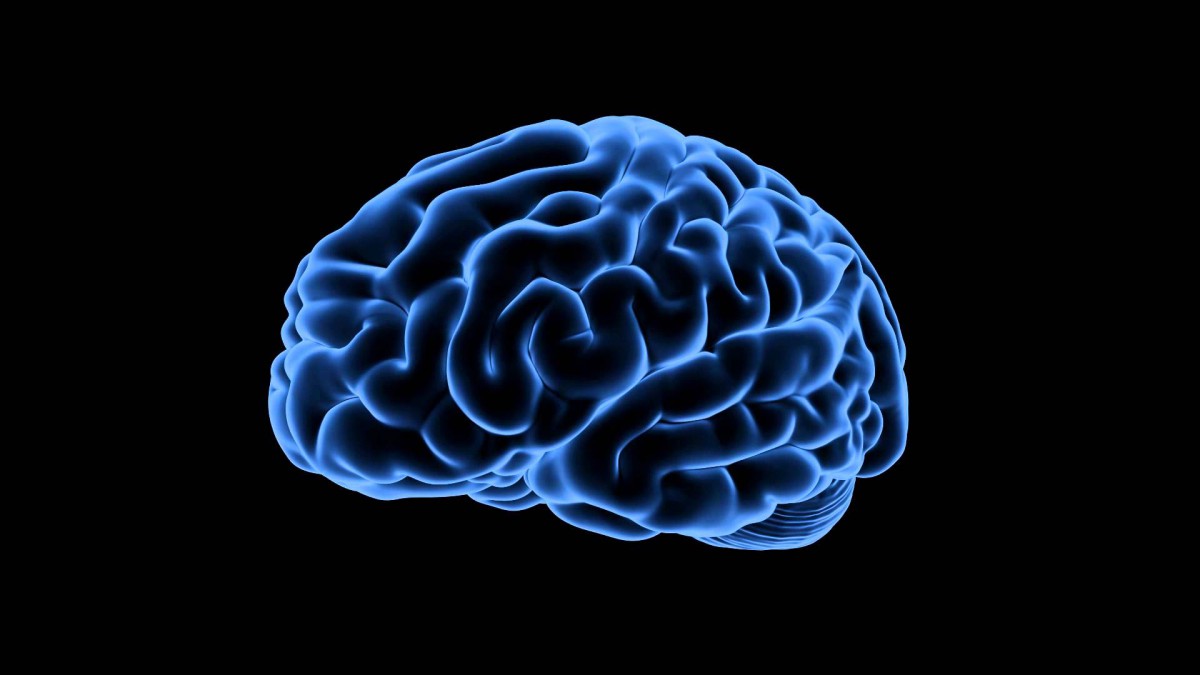 GLUTAMATO: Es objeto de estudio de diversas patologías neurodegenerativas (como por ejemplo la enfermedad de Alzheimer), lo q
