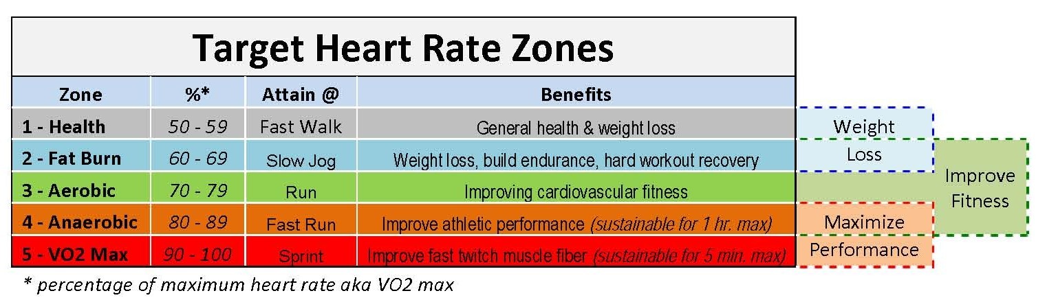 Target Heart Rate Zone= The maximum heart rate
while exercising