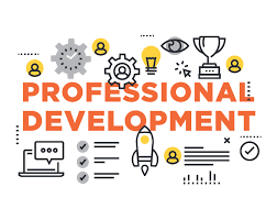 Professional development