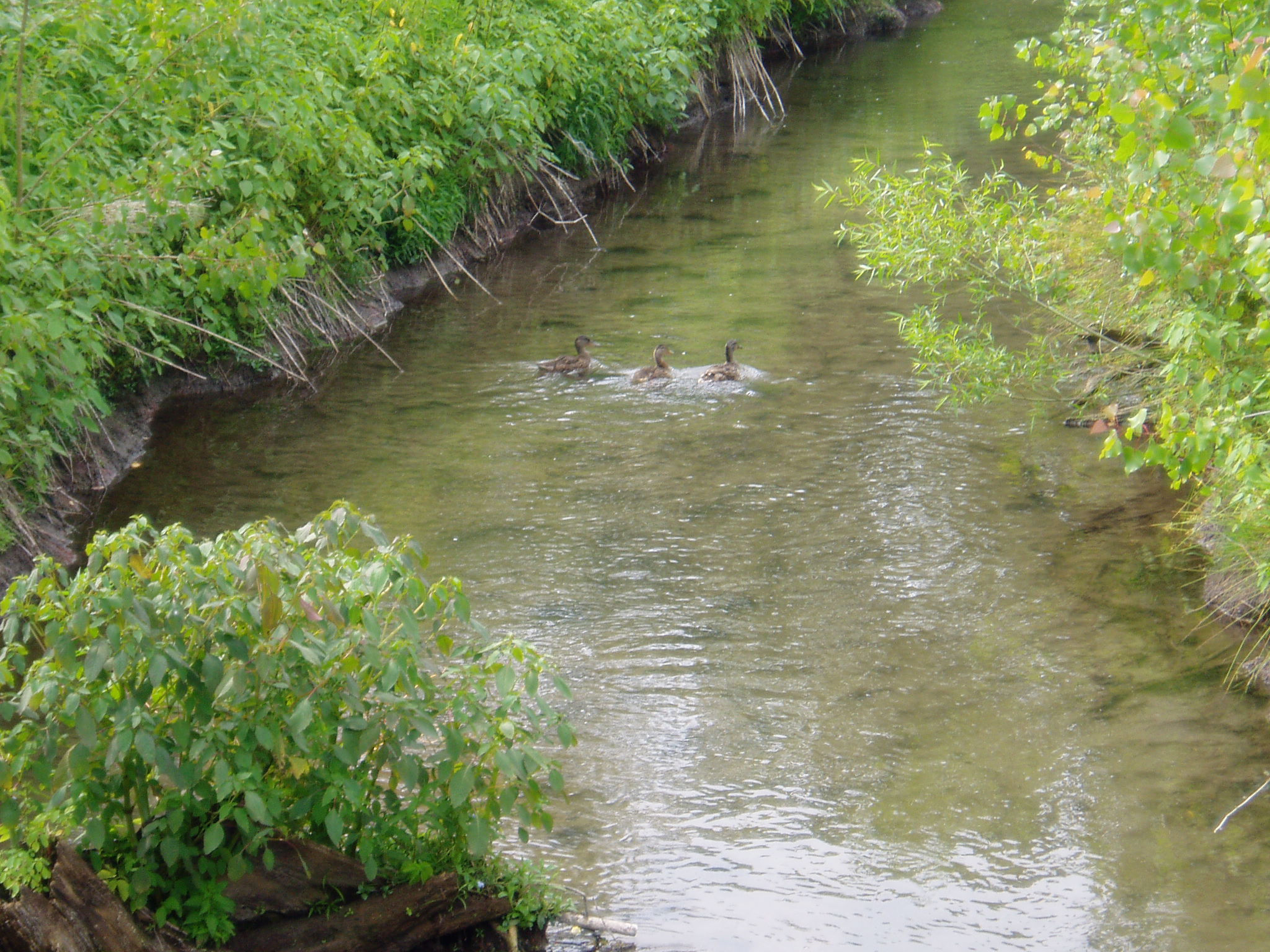 Sutton Conservation Area