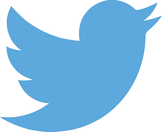 via mon "blog" et les réseaux sociaux :