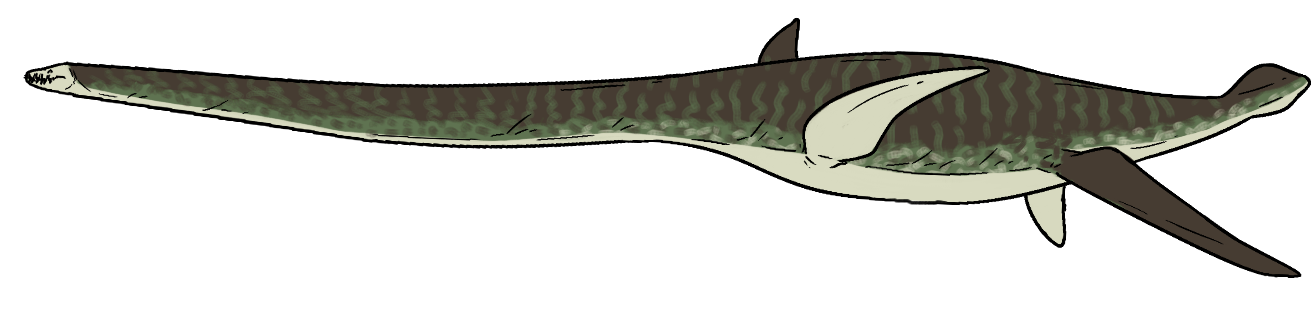 Morenosaurus stocki