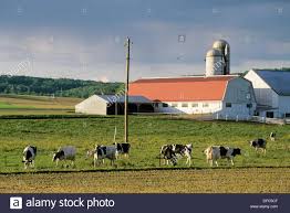 Promotes local farmers