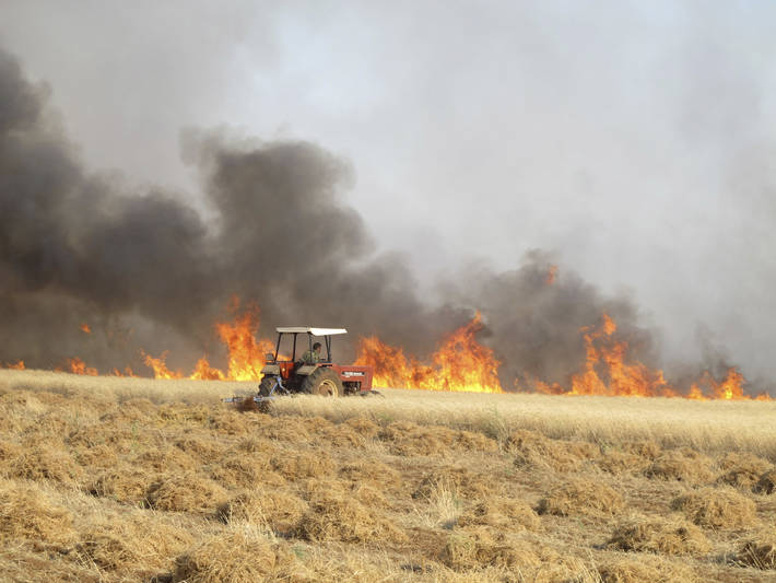 Farmers loss money and land when wildfire destroy their crops.