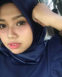 Alfi 3.1