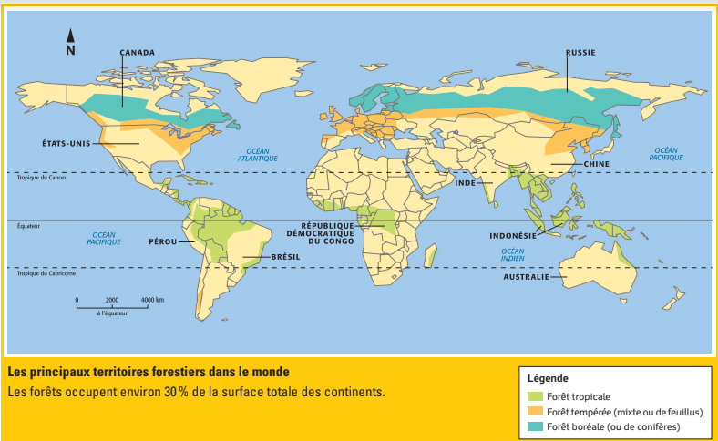 CARTE p. 8-9