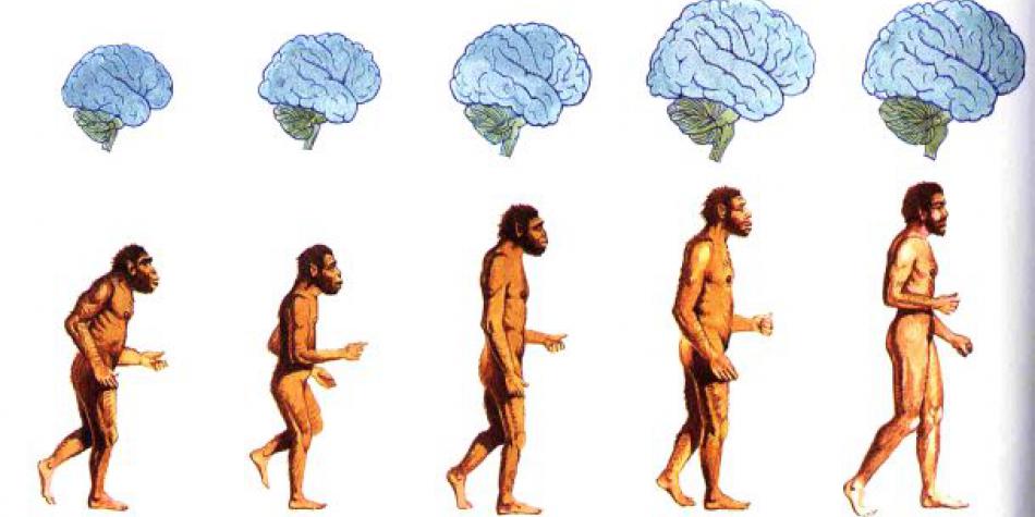 Evolución