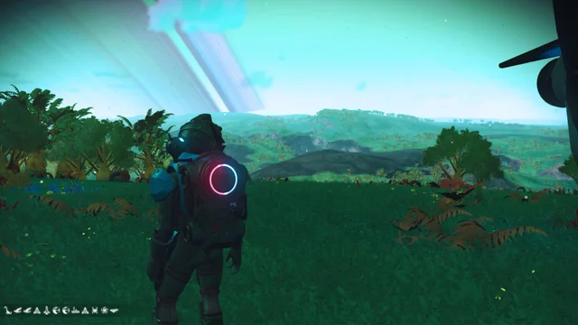 foresty planet