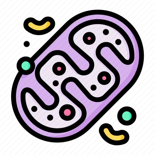 Unit B3: Organisms