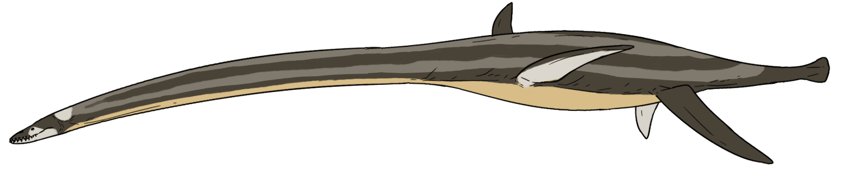 Futabasaurus suzukii