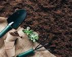 top soil is the upper layer of soil usually around 4-12 inches which is needed for plants to grow up.