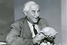 Louis Leakey (1901-1972) He made significant contributions to the study of human evolution primarily in East Africa.