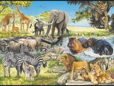 Ecosistema animal