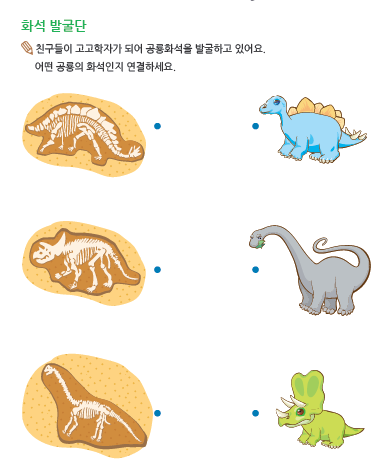 (누리-수) 화석 발굴단