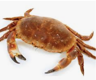 Ex.Crabs