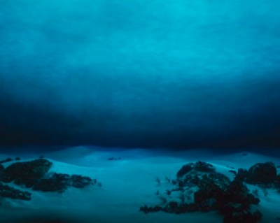 The deep sea bed