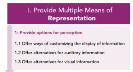 1.Provide multiple means of representation